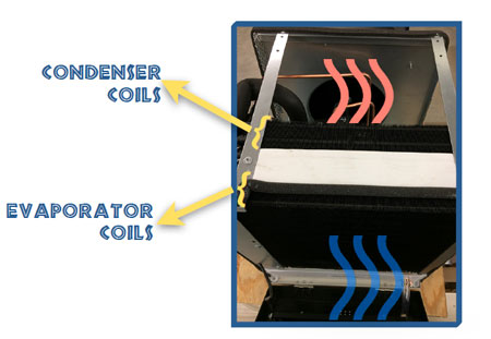 Air travels onto warmer coils